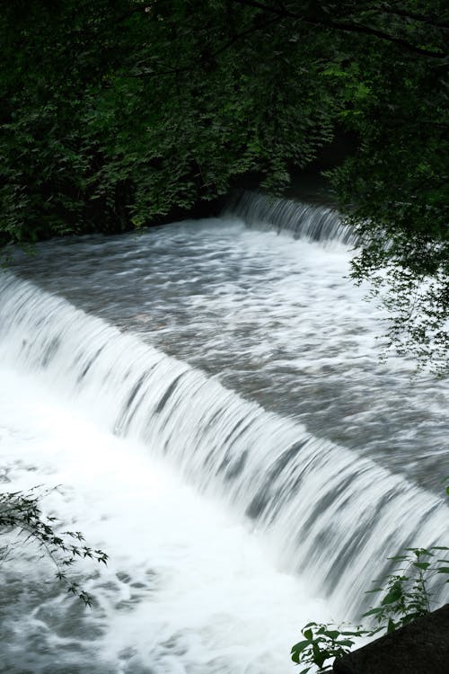 Безкоштовне стокове фото на тему «H2O, вода, Водоспад»