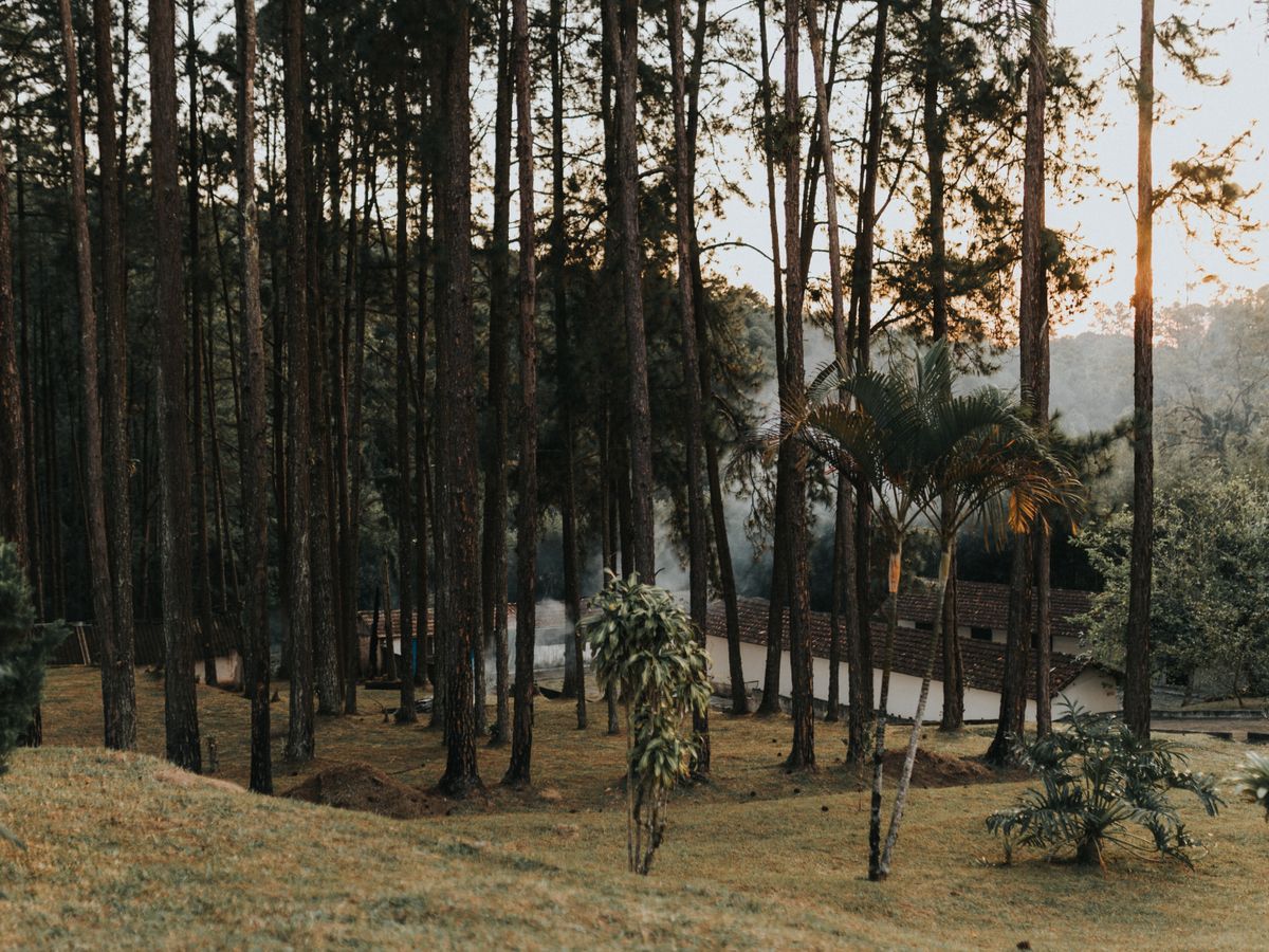 5 Day 'Injoy" Breath Pleasure Self Healing Retreat, South Africa 2
