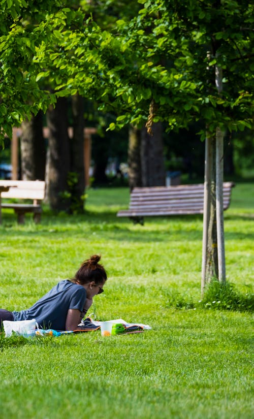 Бесплатное стоковое фото с газон, девочка, деревья