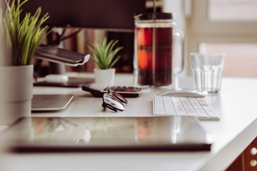 Contemporary home office setup with plants, a graphic tablet, and a computer, creating a cozy work environment.