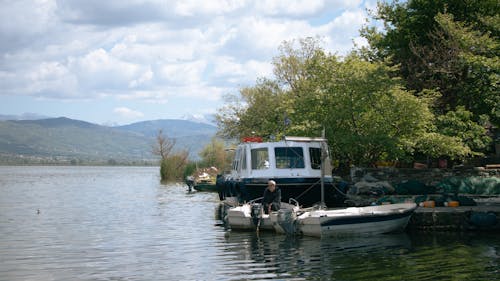 Foto d'estoc gratuïta de aigua, arbre, barca