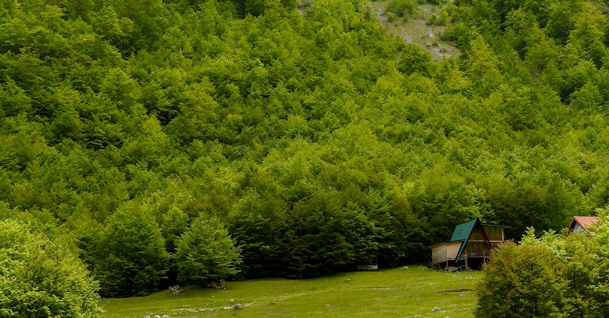 Cabin Rentals Sevierville TN