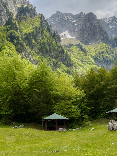 A small cabin in the middle of a green field