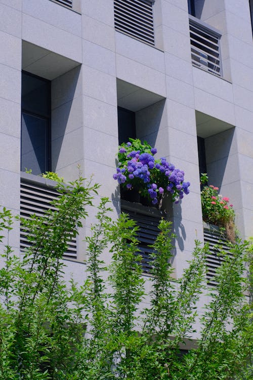 A building with flowers in the window and green plants