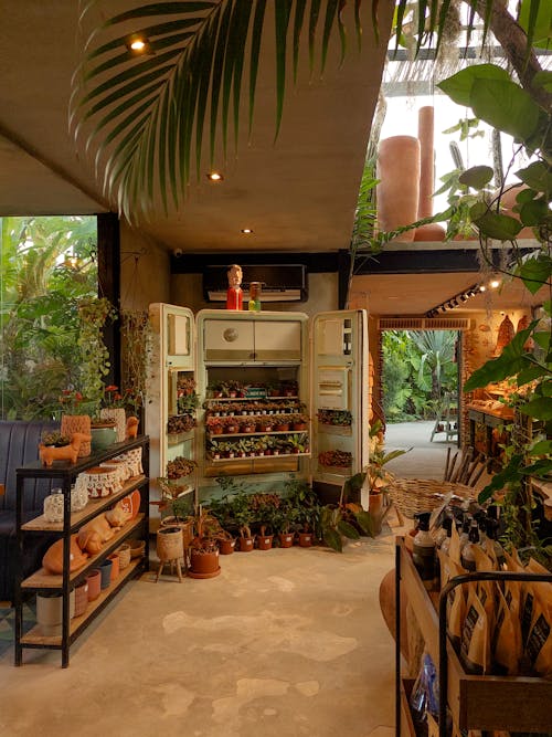 A store with plants and pots on the shelves