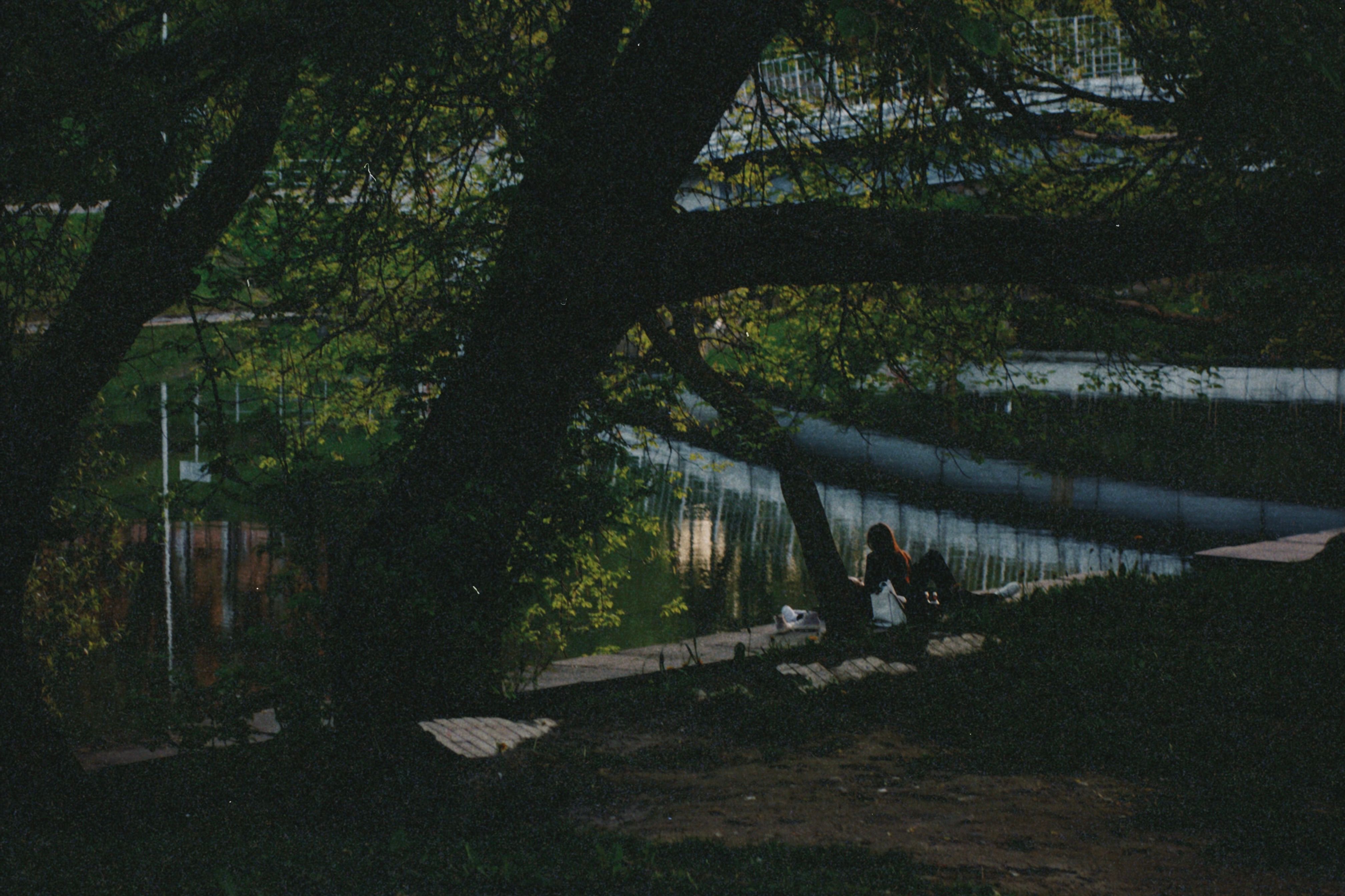 A couple relaxing by the river under a tree in the park during twilight.