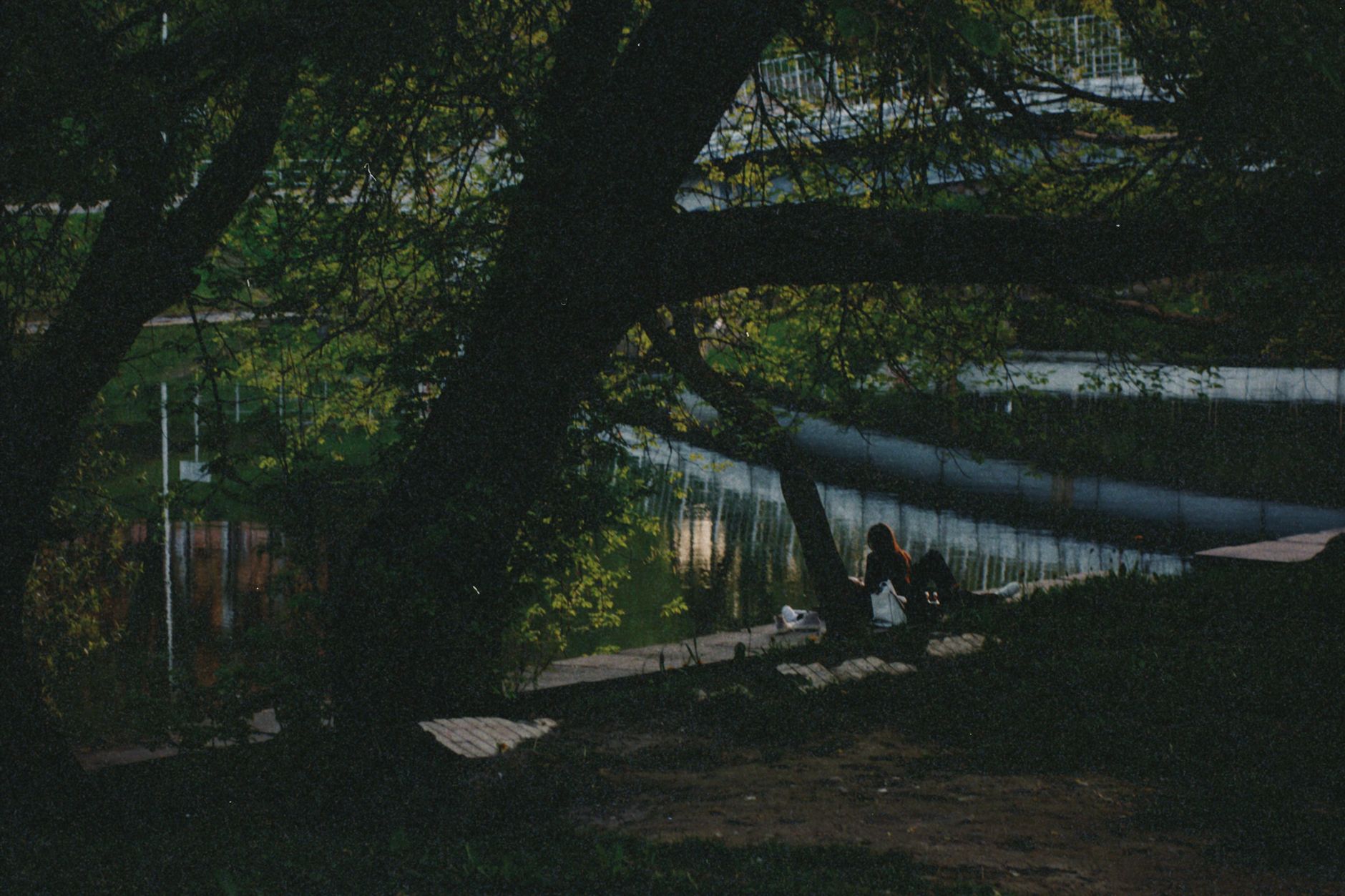 A couple relaxing by the river under a tree in the park during twilight.
