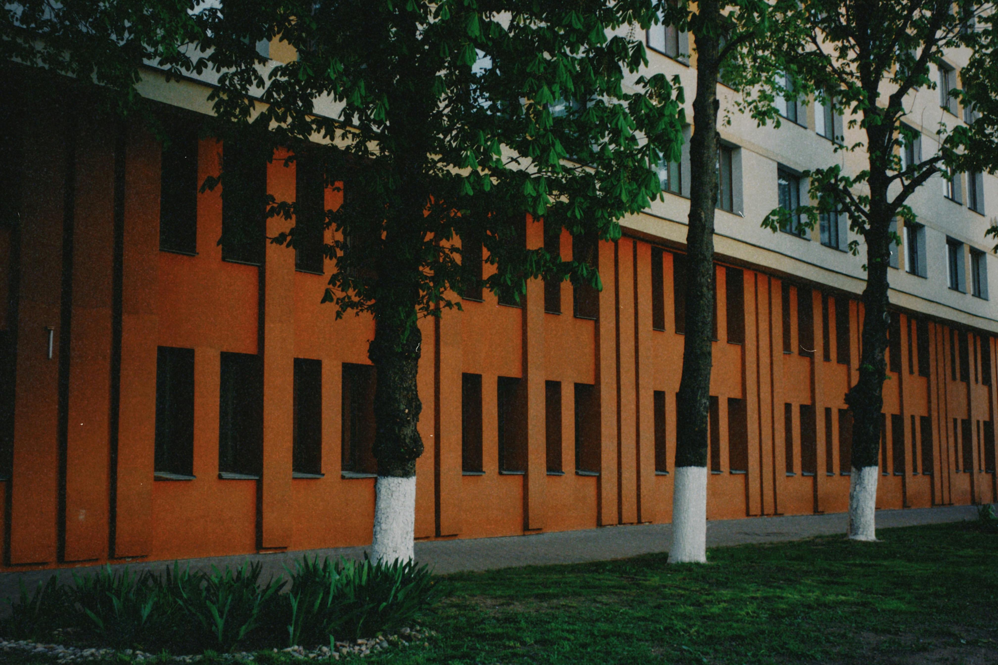 免費 充滿活力, 光滑的質地, 光與影 的 免費圖庫相片 圖庫相片