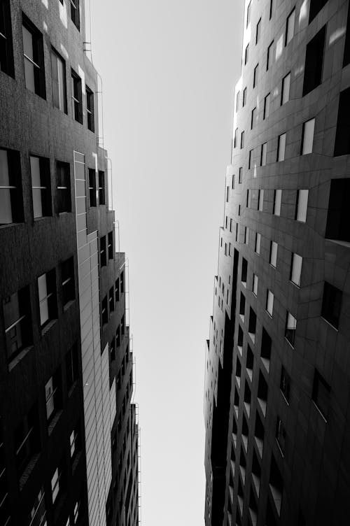 Black and white photo of tall buildings