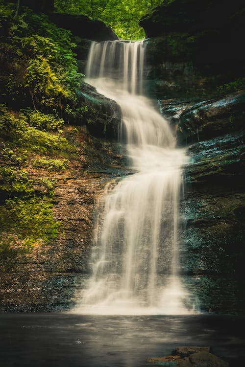 Free stock photo of falls, hike, nature