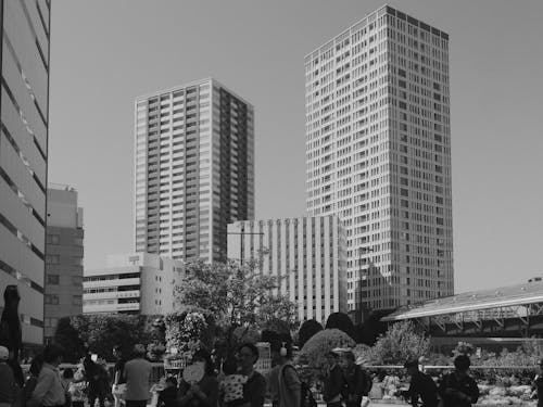 浜松, 静岡の無料の写真素材