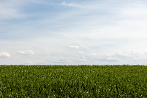 Gratis stockfoto met akkerland, bijenboerderij, bodem