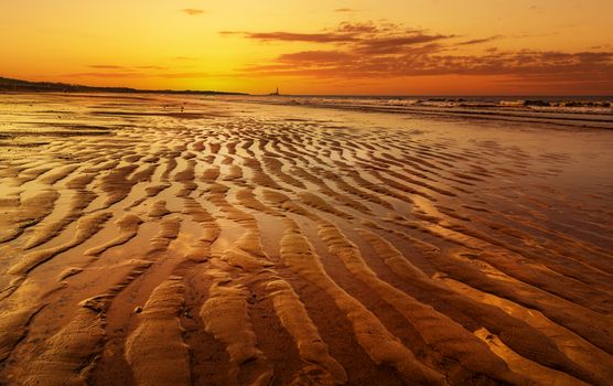 A serene beach at sunset with golden reflections and rippled sand, creating a picturesque landscape.