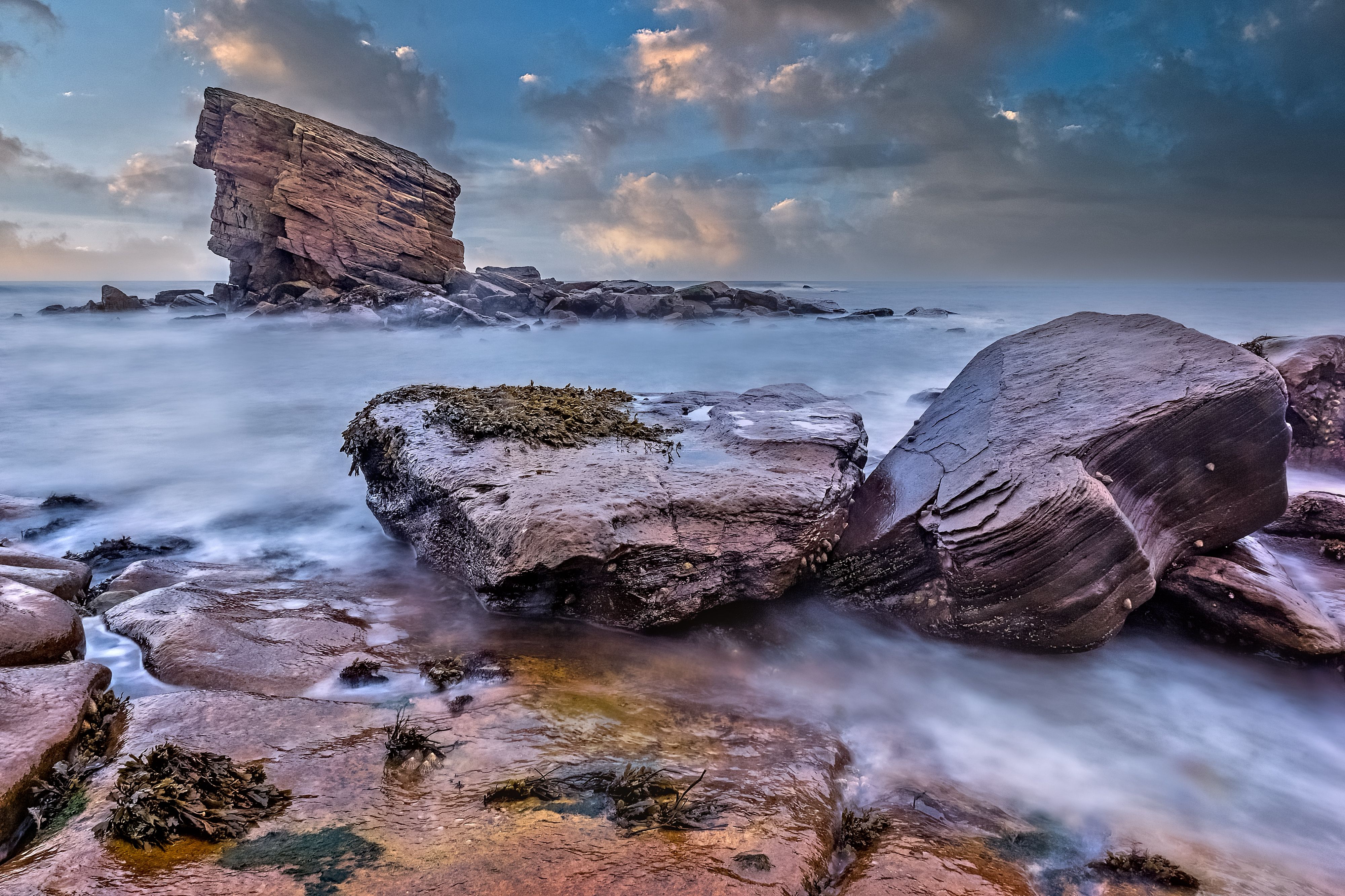 Charlies Garden Sea Stack at Colywell Bay, Northumberland, England, UK ...