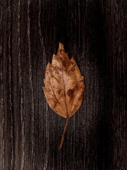 A dried leaf placed on a textured wooden background, showcasing rich earthy tones.