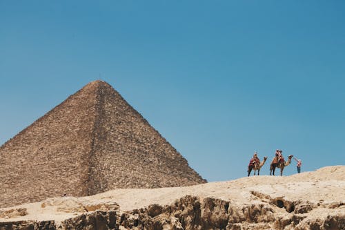 Twee Bruine Kameel Dichtbij Bruine Piramide