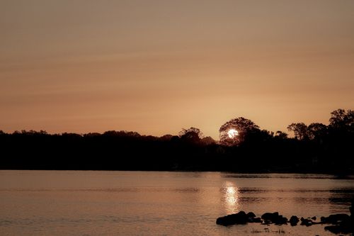 Free A serene sunrise over a calm Stamford lake, featuring reflections and silhouetted trees. Stock Photo
