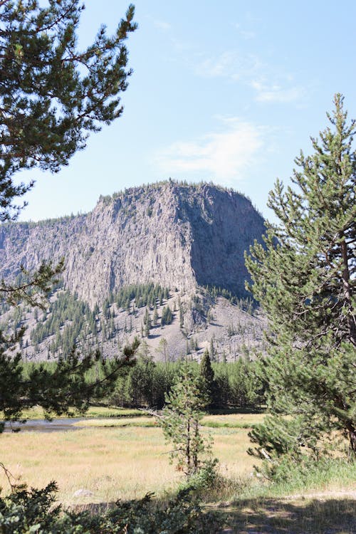 Бесплатное стоковое фото с вайоминг, вечнозеленый, гора