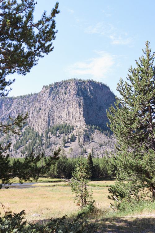 Free Scenic view of a rugged mountain surrounded by trees in Yellowstone National Park. Stock Photo