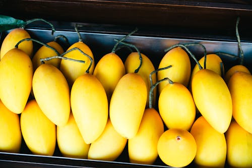 A tray of yellow mangos on a table