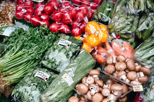 Farmers Market at UNU