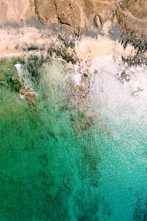 Aerial view of the ocean and beach