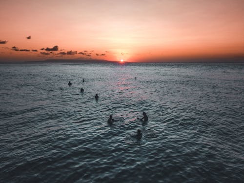 Silhouette Foto Von Menschen, Die Während Der Goldenen Stunde Schwimmen