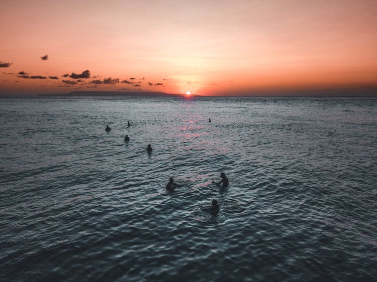 Silhouette Photo Of People Swimming During Golden Hour