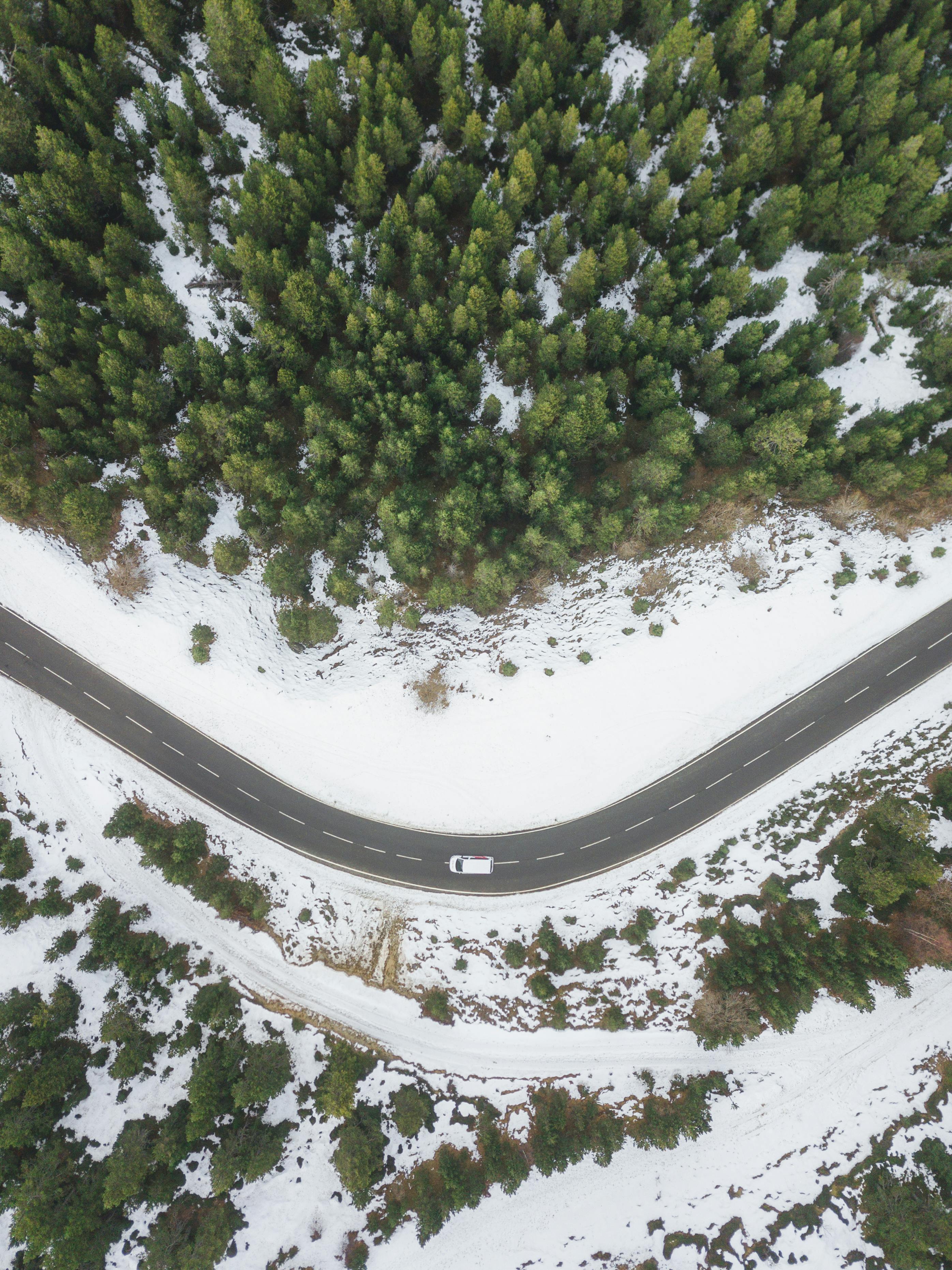 从空中俯瞰，一条蜿蜒的道路穿过白雪皑皑的森林，呈现出宁静的冬季景观