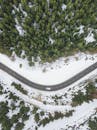 从空中俯瞰，一条蜿蜒的道路穿过白雪皑皑的森林，呈现出宁静的冬季景观
