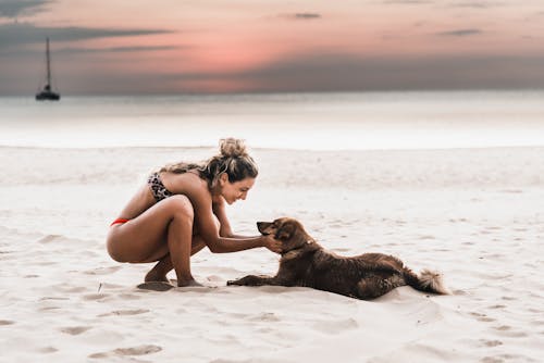 Женщина в бикини гладит собаку на пляже