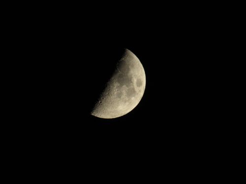 Free Detailed close-up of a half moon against a black night sky, showcasing lunar surface textures. Stock Photo
