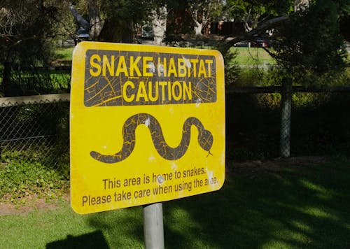 snake sign