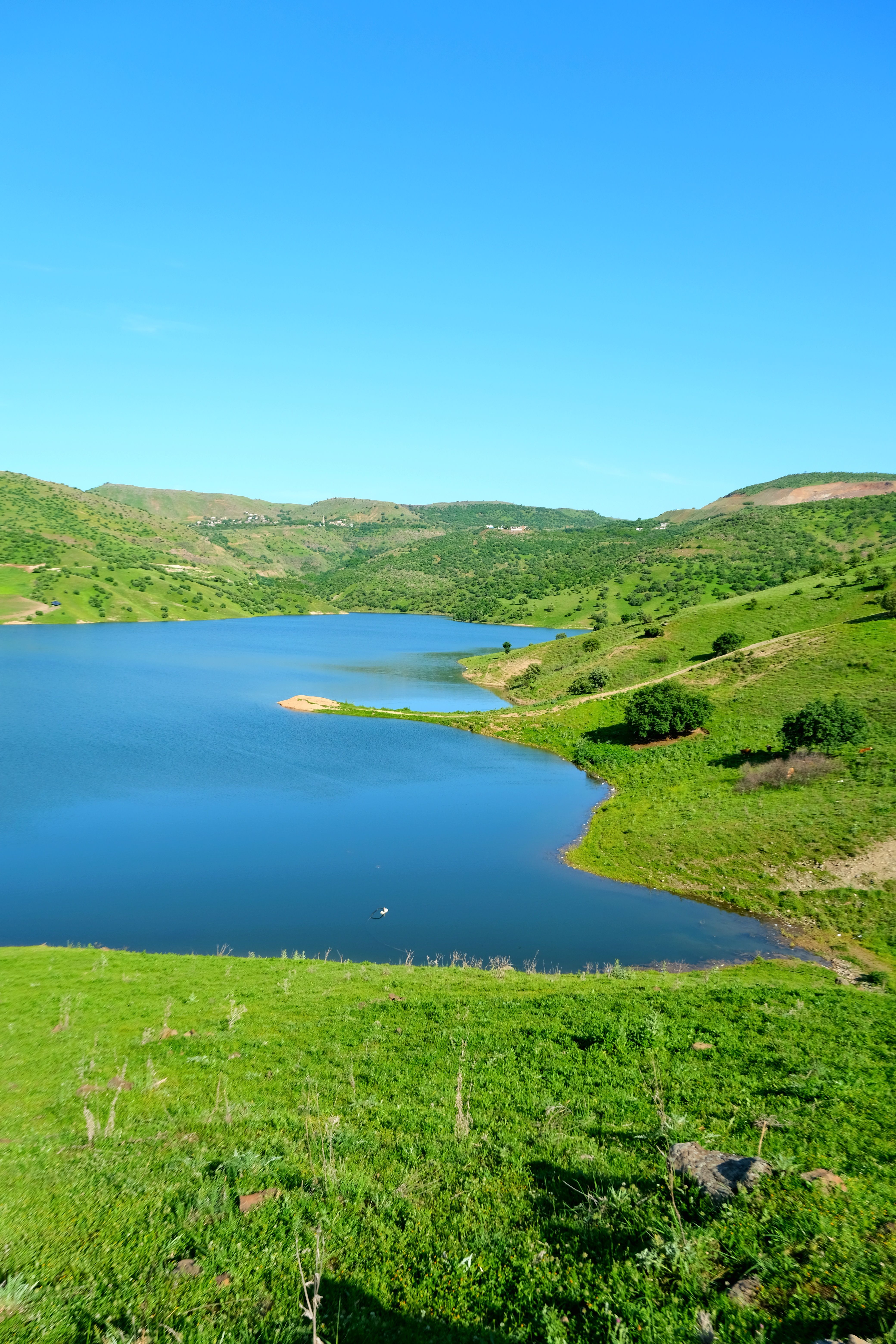 Scenic Landscape with a Lake · Free Stock Photo