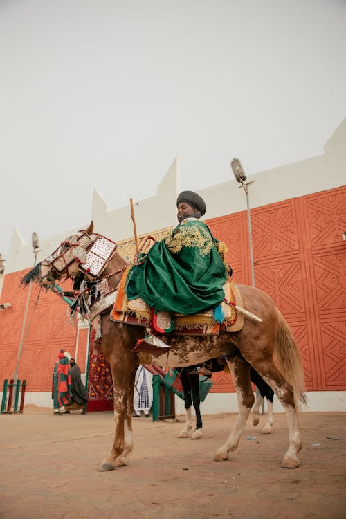 Fotos de stock gratuitas de adulto, beduino, caballería