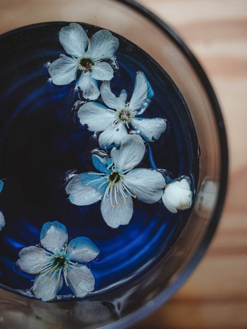 A blue glass with white flowers floating in it