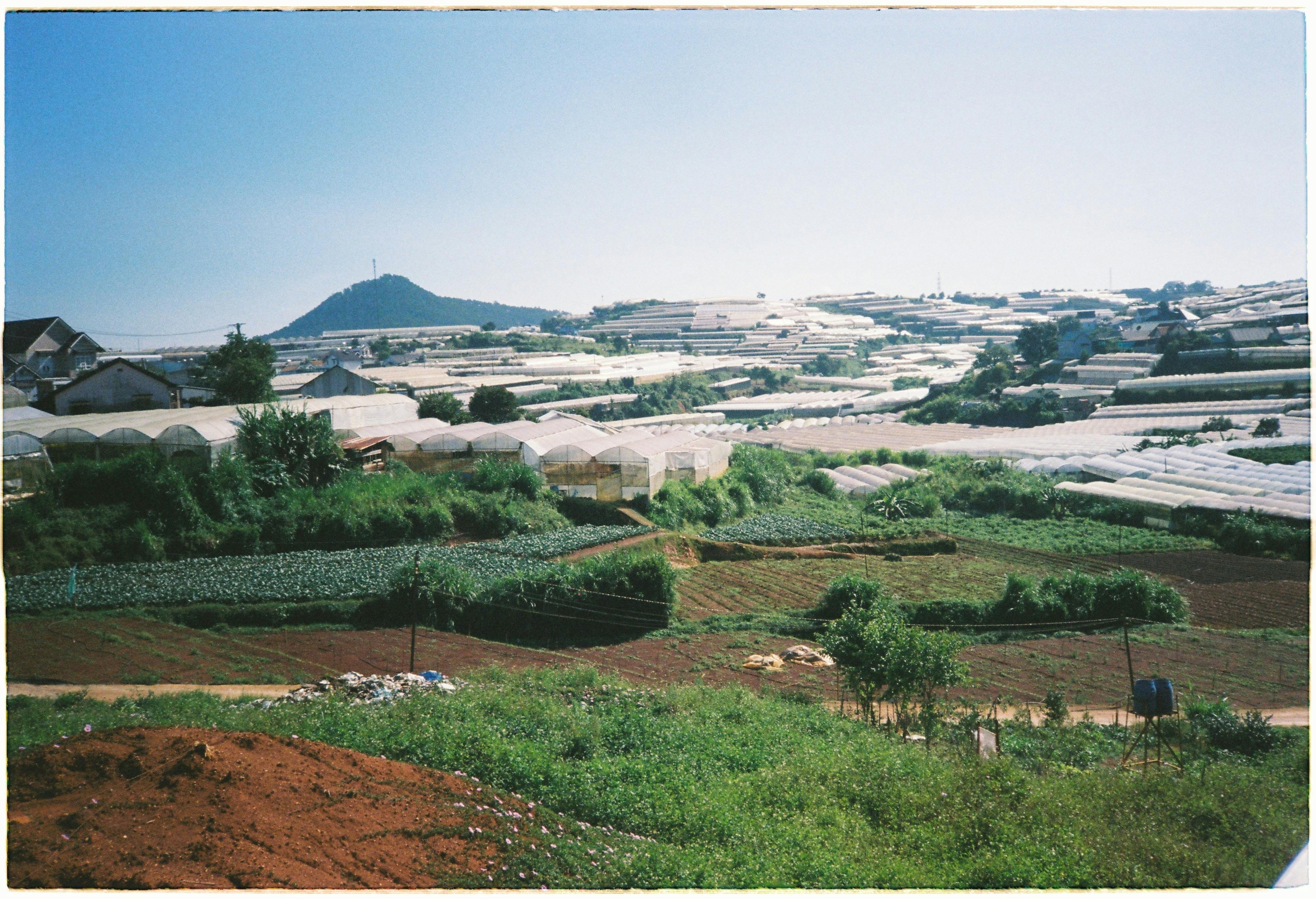 scenic view of farms in dalat vietnam