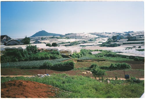 A view of a field with a hill in the background