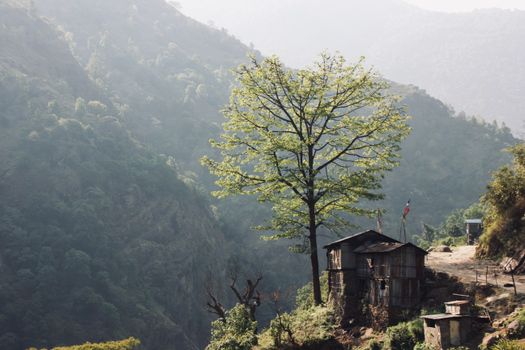 Chitwan jungle safari for rhinos — Nepal