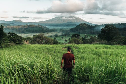 Man Standing Facing Grass and Mountains Illustration