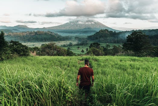 A solitary man walking through green fields with a mountain backdrop, captured in daylight.