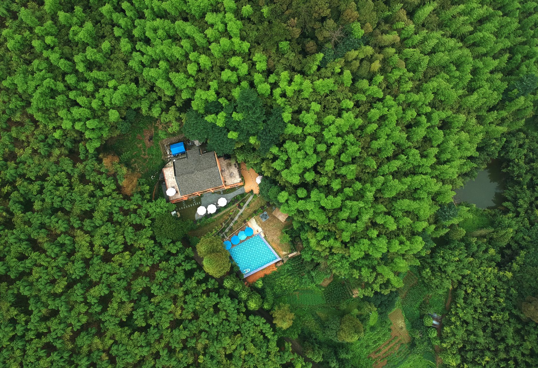 Best Luxury Resorts in Coorg: What to Expect and How to Choose