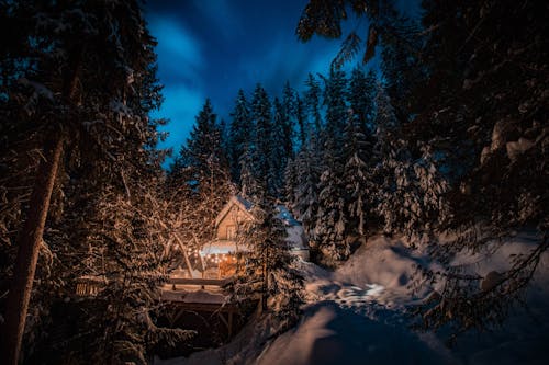 免费 冰冷的松树和谷仓房子在晚上的视图 素材图片