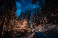 在星光灿烂的夜空下，白雪覆盖的树木间，一间舒适的冬季小屋闪闪发光