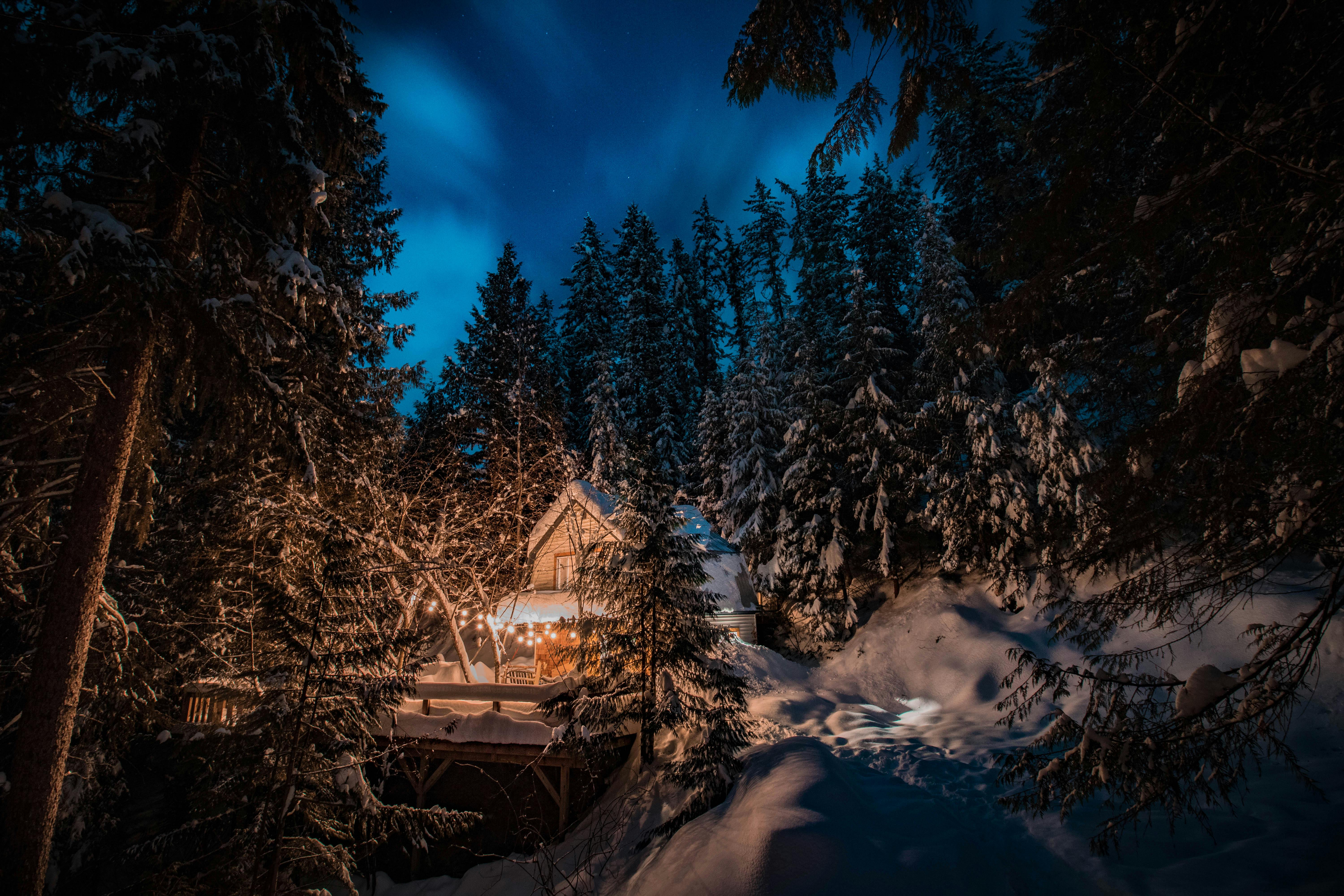 Winter Night Photos, Download The BEST Free Winter Night Stock
