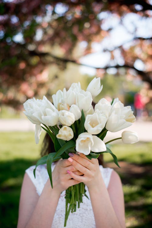 Бесплатное стоковое фото с белые тюльпаны, белые цветы, букет