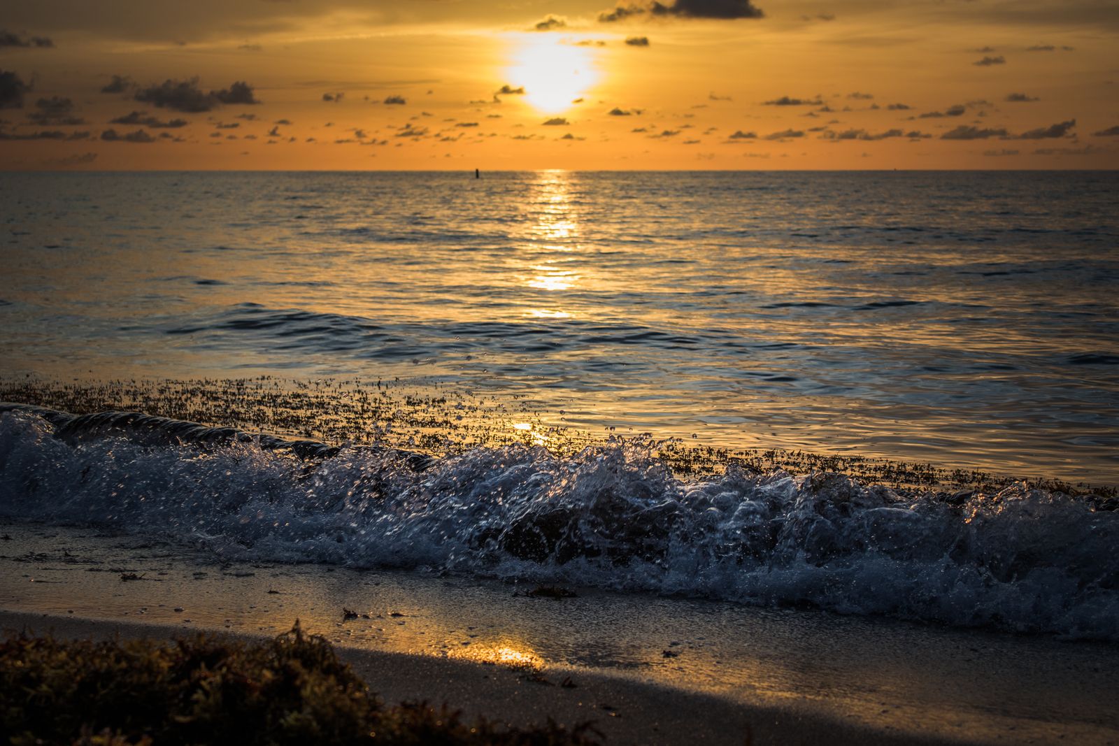 Wave on the sea shore at sunset, Miami Beach