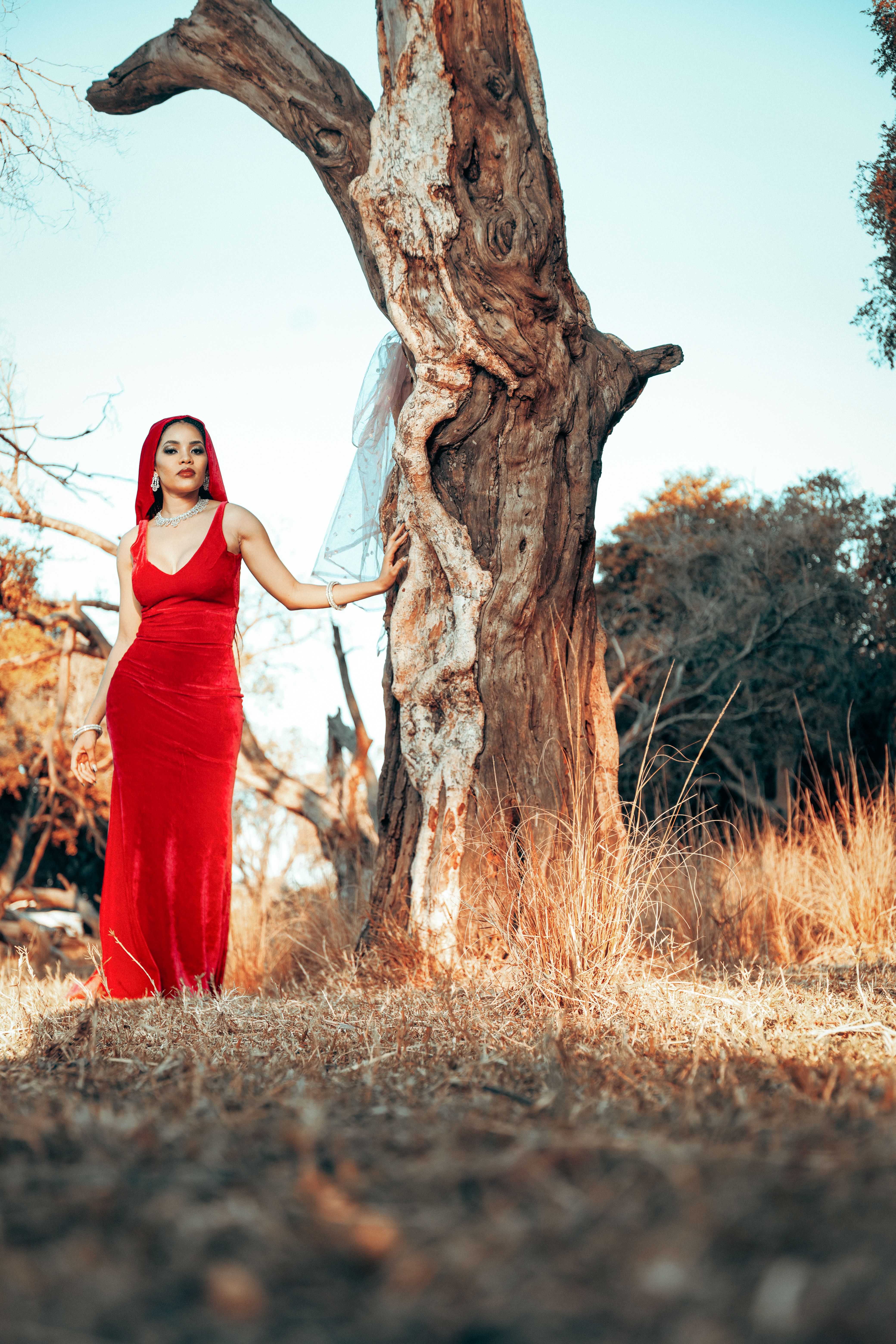 red dresses in trees Red Dress Day
