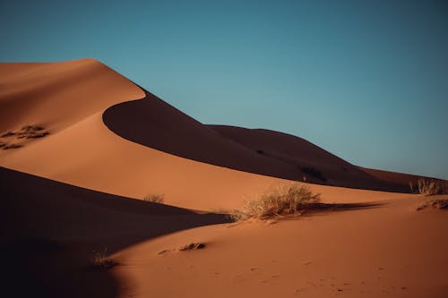 青い空の下の砂丘