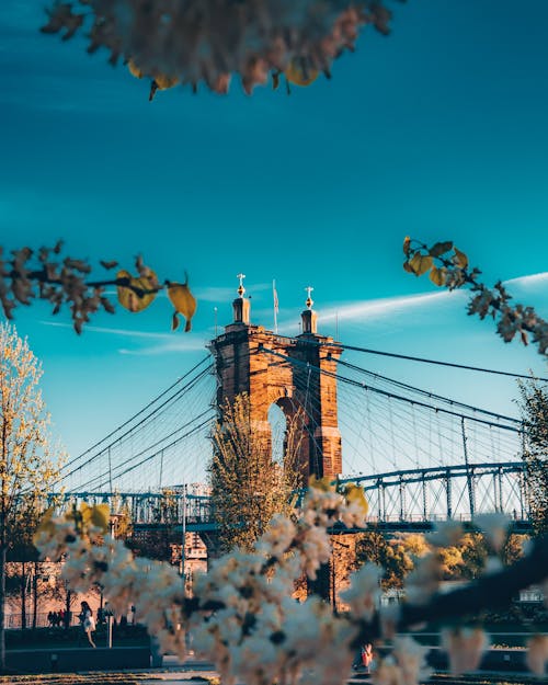 Základová fotografie zdarma na téma architektura, denní světlo, hloubka ostrosti